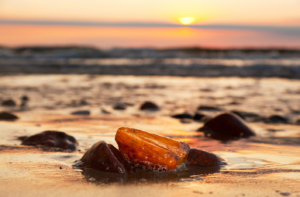Amber Stone on Sand Baltic Sea Shore